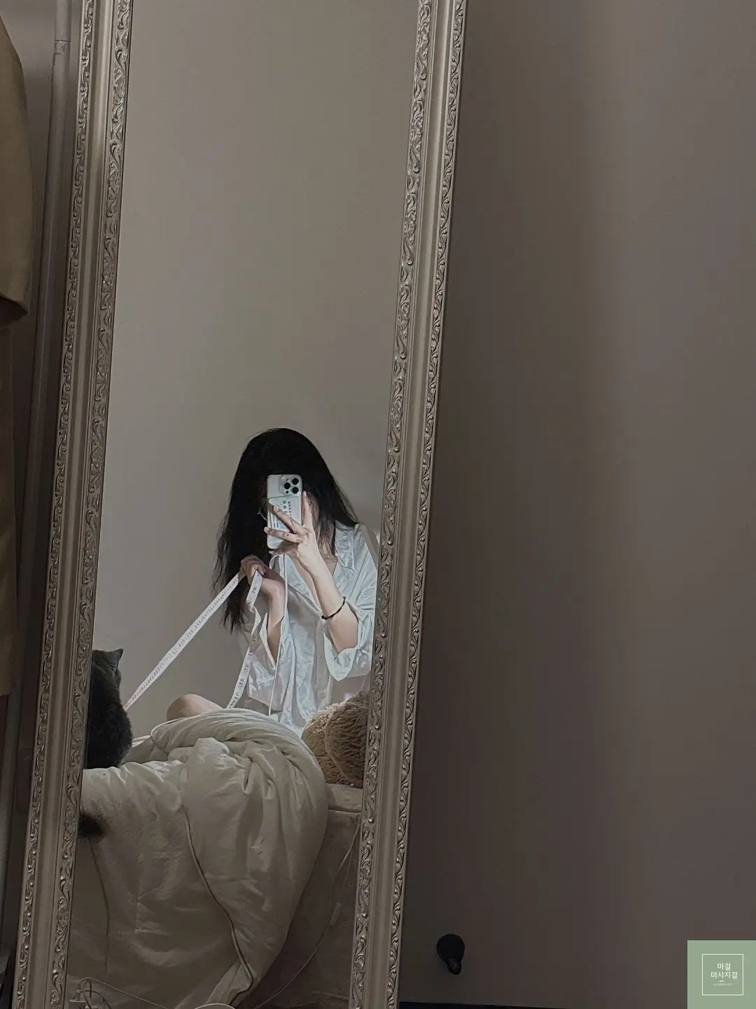 고원